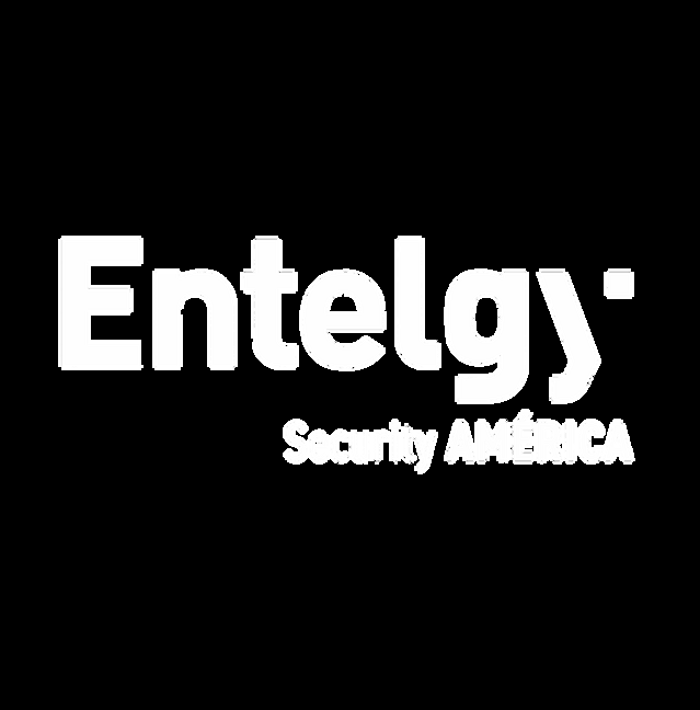 Entelgy Security América